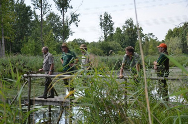 hegewaldtest 2013