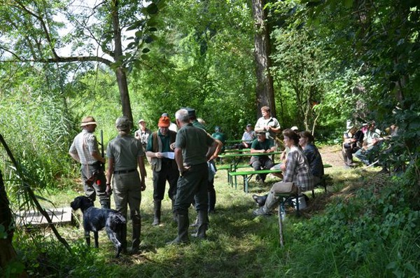 hegewaldtest 2013